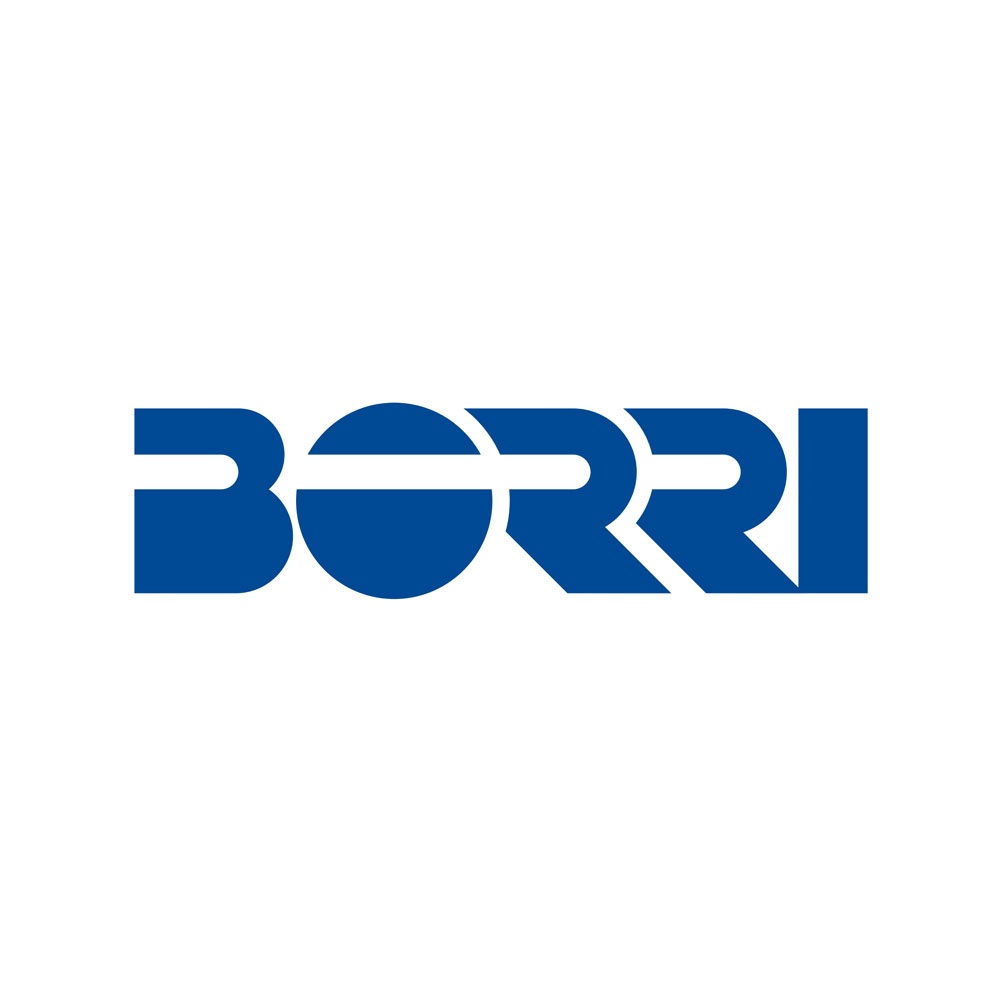 Borri S P A B Bindustry