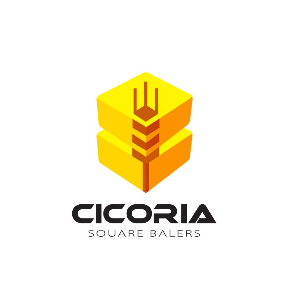 Cicoria S R L B Bindustry